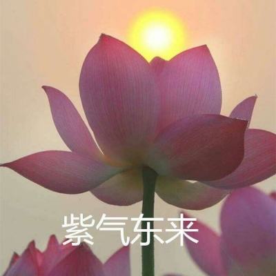 终极飞车战役下载安装